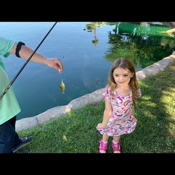 Meet your Posher, Danielle - Picture 6 of 8